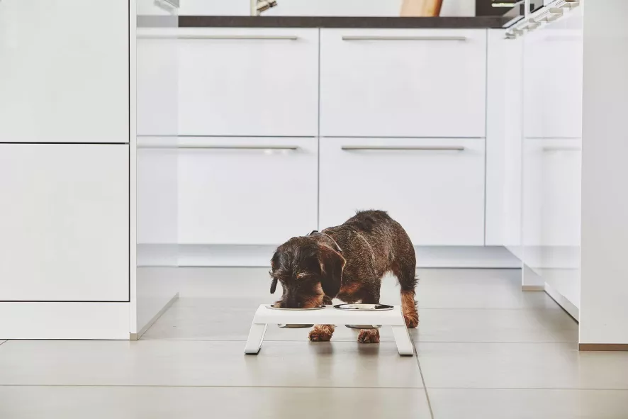 MiaCara Desco Hondenvoerbak Medium Aluminium Zwart 5 MiaCara Desco Hondenvoerbak Medium Aluminium Zwart - Afbeelding 5