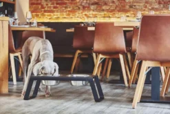 MiaCara Desco Hondenvoerbak Medium Aluminium Wit -Beste Meubelcollectie Winkel x886x886 miacara desco hondenvoerbak medium25.jpg.pagespeed.ic .j3pooza1mJ 2