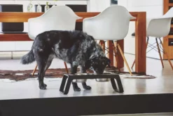 MiaCara Desco Hondenvoerbak Medium Aluminium Zwart 22 MiaCara Desco Hondenvoerbak Medium Aluminium Zwart -Beste Meubelcollectie Winkel x886x886 miacara desco hondenvoerbak medium26.jpg.pagespeed.ic .IFqqhlCQZt