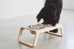 MiaCara Desco Hondenvoerbak Medium Aluminium Zwart 25 MiaCara Desco Hondenvoerbak Medium Aluminium Zwart -Beste Meubelcollectie Winkel x886x886 miacara desco hondenvoerbak medium28.jpg.pagespeed.ic . R9ZwlTrx