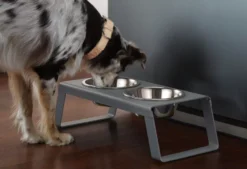 MiaCara Desco Hondenvoerbak Medium Aluminium Wit -Beste Meubelcollectie Winkel x886x886 miacara desco hondenvoerbak medium30.jpg.pagespeed.ic .hO8vdqdI84 2