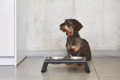 MiaCara Desco Hondenvoerbak Small Walnoot -Beste Meubelcollectie Winkel x886x886 miacara desco hondenvoerbak medium34.jpg.pagespeed.ic .1Ds QXa7yc