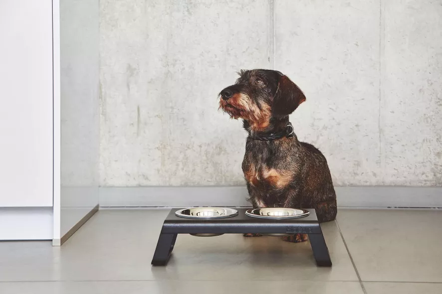 MiaCara Desco Hondenvoerbak Small Aluminium Zwart 3 MiaCara Desco Hondenvoerbak Small Aluminium Zwart - Afbeelding 3