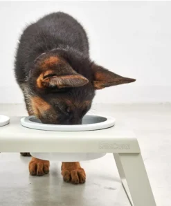 MiaCara Desco Hondenvoerbak Porselein Medium Walnoot 9 MiaCara Desco Hondenvoerbak Porselein Medium Walnoot -Beste Meubelcollectie Winkel x886x886 miacara desco hondenvoerbak porselein small10.jpg.pagespeed.ic .AMcJWS1AjF