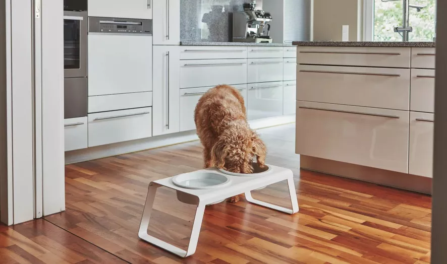 MiaCara Desco Hondenvoerbak Porselein Medium Essen Naturel 5 MiaCara Desco Hondenvoerbak Porselein Medium Essen Naturel - Afbeelding 5