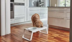 MiaCara Desco Hondenvoerbak Porselein Medium Walnoot 10 MiaCara Desco Hondenvoerbak Porselein Medium Walnoot -Beste Meubelcollectie Winkel x886x886 miacara desco hondenvoerbak porselein small11.jpg.pagespeed.ic .hjPOMS Fdl