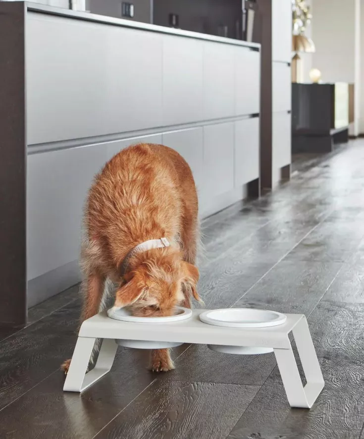 MiaCara Desco Hondenvoerbak Porselein Medium Essen Naturel 3 MiaCara Desco Hondenvoerbak Porselein Medium Essen Naturel - Afbeelding 3