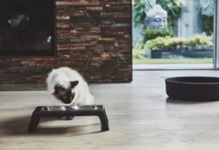 MiaCara Desco Kattenvoerbak Aluminium Zwart -Beste Meubelcollectie Winkel x886x886 miacara desco kattenvoerbak21.jpg.pagespeed.ic .DSoaFtmrmE