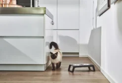 MiaCara Desco Kattenvoerbak Aluminium Zwart -Beste Meubelcollectie Winkel x886x886 miacara desco kattenvoerbak22.jpg.pagespeed.ic .nCX60xu3I