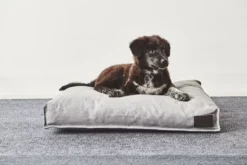 MiaCara Divo Hondenkussen Small Mocca 11 MiaCara Divo Hondenkussen Small Mocca -Beste Meubelcollectie Winkel x886x886 miacara divo hondenkussen small.jpg.pagespeed.ic .VE 6keVMre