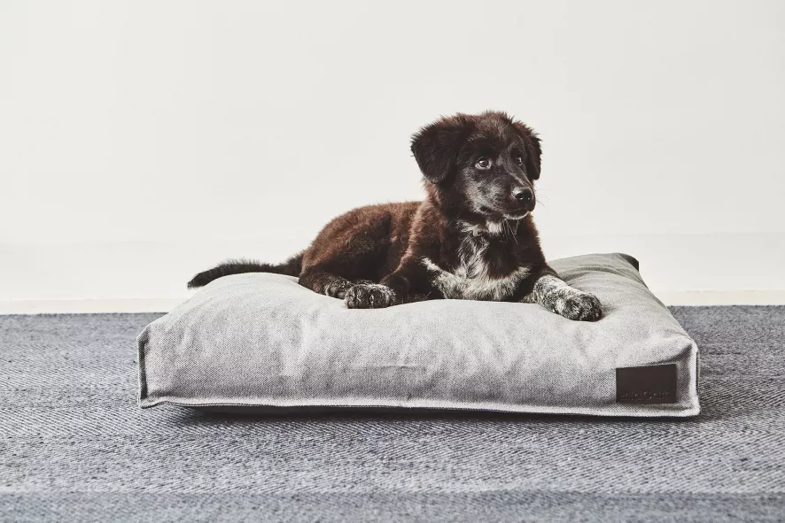 MiaCara Divo Hondenkussen Small Mocca 4 MiaCara Divo Hondenkussen Small Mocca - Afbeelding 4