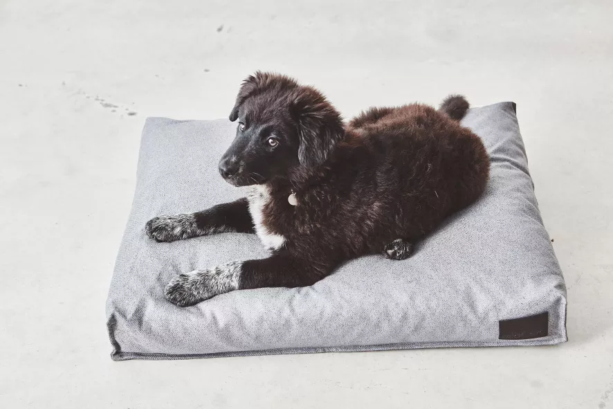 MiaCara Divo Hondenkussen Small Mocca 2 MiaCara Divo Hondenkussen Small Mocca - Afbeelding 2