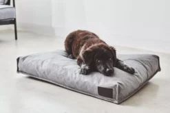 MiaCara Divo Hondenkussen Small Mocca 13 MiaCara Divo Hondenkussen Small Mocca -Beste Meubelcollectie Winkel x886x886 miacara divo hondenkussen small3.jpg.pagespeed.ic .h9QXAPk FZ