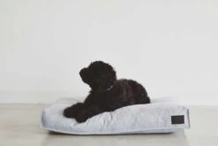 MiaCara Divo Hondenkussen Medium Mocca 17 MiaCara Divo Hondenkussen Medium Mocca -Beste Meubelcollectie Winkel x886x886 miacara divo hondenkussen small5.jpg.pagespeed.ic .sUtZW6R9mS