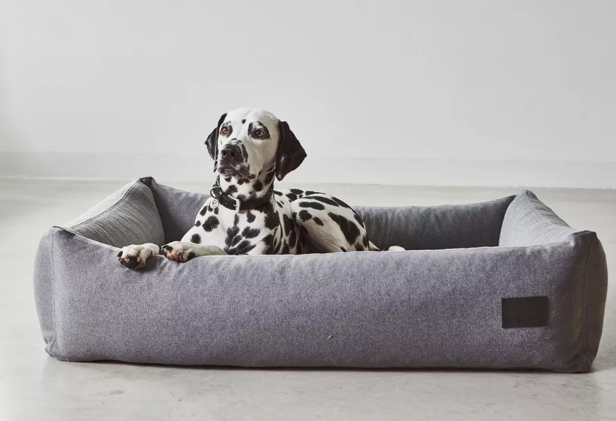 MiaCara Divo Hondenmand Medium Slate 4 MiaCara Divo Hondenmand Medium Slate - Afbeelding 4