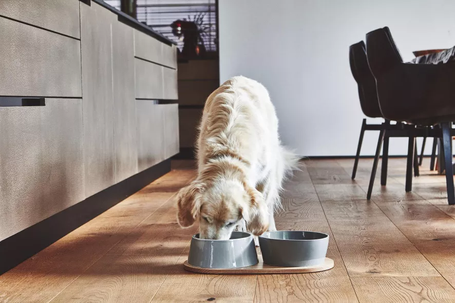 MiaCara Doppio Hondenvoerbak Small Beton 6 MiaCara Doppio Hondenvoerbak Small Beton - Afbeelding 6