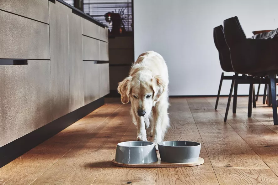 MiaCara Doppio Hondenvoerbak Small Beton 7 MiaCara Doppio Hondenvoerbak Small Beton - Afbeelding 7