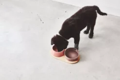 MiaCara Doppio Hondenvoerbak Medium Beton 15 MiaCara Doppio Hondenvoerbak Medium Beton -Beste Meubelcollectie Winkel x886x886 miacara doppio hondenvoerbak met blad small7.jpg.pagespeed.ic .PAdqRx0uvZ