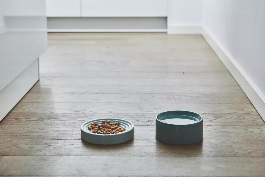 MiaCara Piatto Kattenvoerbak Ø16 Berry 2 MiaCara Piatto Kattenvoerbak Ø16 Berry - Afbeelding 2