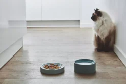 MiaCara Piatto Kattenvoerbak Ø16 Berry 9 MiaCara Piatto Kattenvoerbak Ø16 Berry -Beste Meubelcollectie Winkel x886x886 miacara fresco kattenvoerbak5.jpg.pagespeed.ic .nGAlJjMd e 1