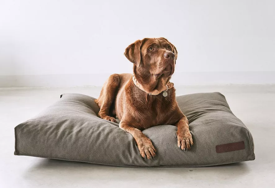 MiaCara Mare Hondenkussen Medium Rock 2 MiaCara Mare Hondenkussen Medium Rock - Afbeelding 2