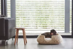 MiaCara Mio Hondenmand Medium Anthracite -Beste Meubelcollectie Winkel x886x886 miacara mio hondenmand medium3.jpg.pagespeed.ic .87nERkEzq5