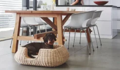 MiaCara Mio Hondenmand Medium Anthracite -Beste Meubelcollectie Winkel x886x886 miacara mio hondenmand medium6.jpg.pagespeed.ic .dhYDDV5s1G