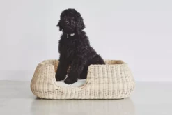 MiaCara Mio Hondenmand Medium Anthracite -Beste Meubelcollectie Winkel x886x886 miacara mio hondenmand medium9.jpg.pagespeed.ic .ep8YhtiyEp