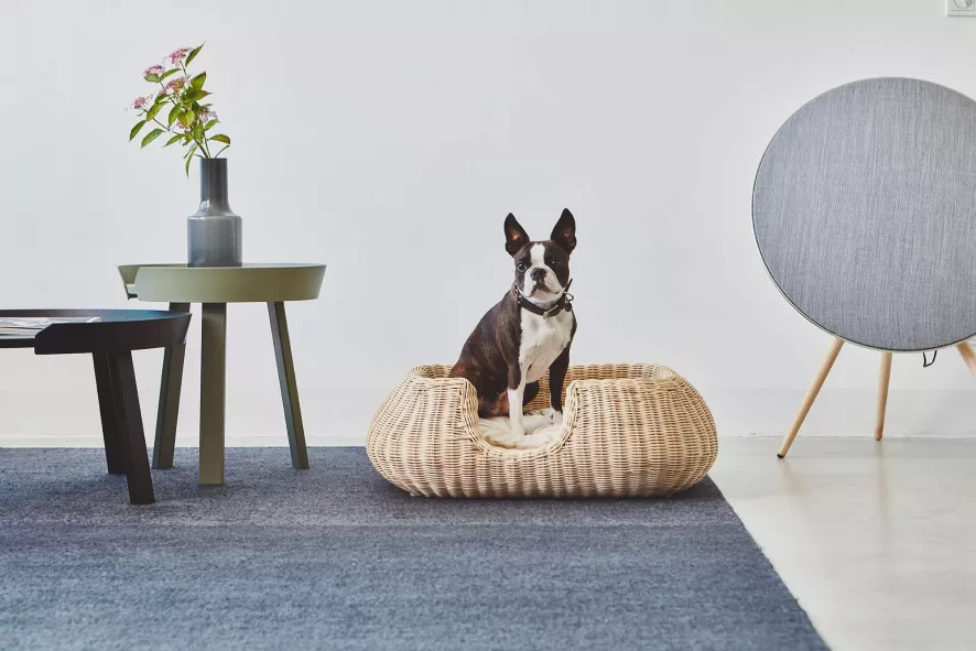 MiaCara Mio Hondenmand Small Hemp 4 MiaCara Mio Hondenmand Small Hemp - Afbeelding 4