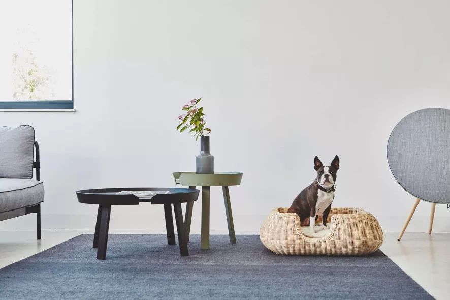 MiaCara Mio Hondenmand Small Hemp 7 MiaCara Mio Hondenmand Small Hemp - Afbeelding 7