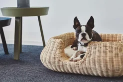 MiaCara Mio Hondenmand Small Hemp 21 MiaCara Mio Hondenmand Small Hemp -Beste Meubelcollectie Winkel x886x886 miacara mio hondenmand small4.jpg.pagespeed.ic .3aUbSdiIe6