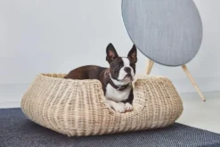 MiaCara Mio Hondenmand Small Hemp 20 MiaCara Mio Hondenmand Small Hemp -Beste Meubelcollectie Winkel x886x886 miacara mio hondenmand small5.jpg.pagespeed.ic .d 1F9YHrJR