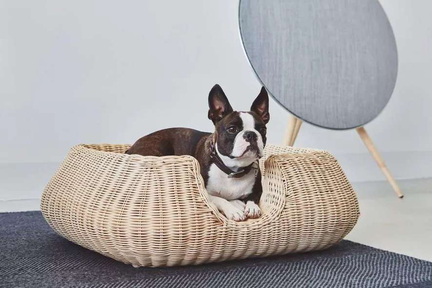 MiaCara Mio Hondenmand Small Hemp 8 MiaCara Mio Hondenmand Small Hemp - Afbeelding 8