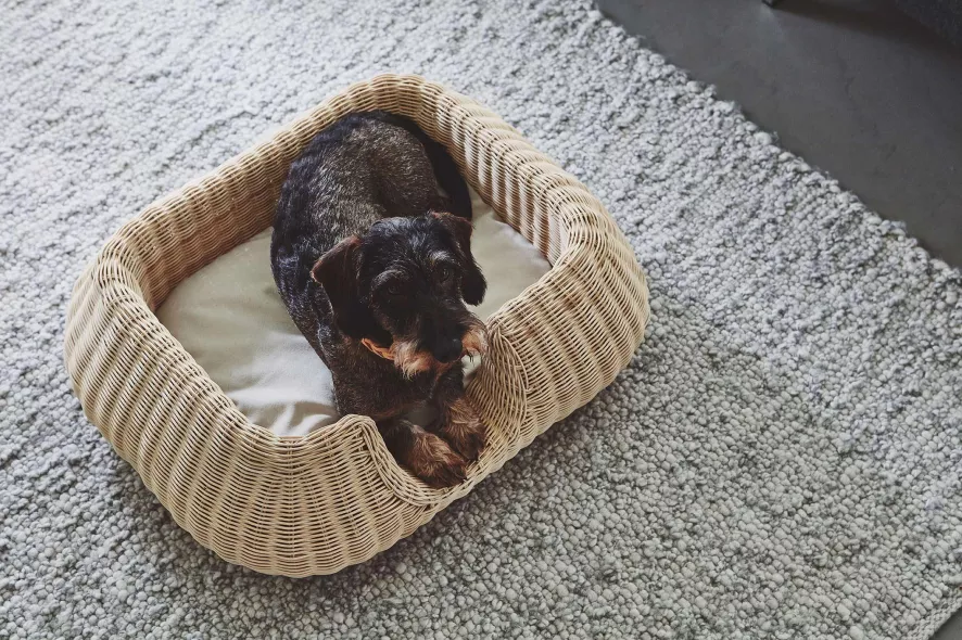 MiaCara Mio Hondenmand Small Hemp 12 MiaCara Mio Hondenmand Small Hemp - Afbeelding 12