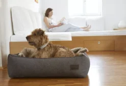 MiaCara Nube Hondenmand Small Tabacco 8 MiaCara Nube Hondenmand Small Tabacco -Beste Meubelcollectie Winkel x886x886 miacara nube hondenmand small19.jpg.pagespeed.ic .M2SSgd3cu 1 2