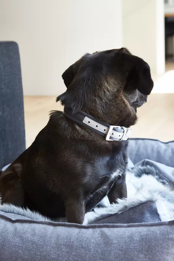 MiaCara Nube Hondenmand Small Tabacco 5 MiaCara Nube Hondenmand Small Tabacco - Afbeelding 5