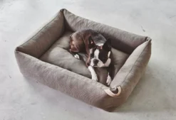 MiaCara Sonno Hondenmand Large Taupe -Beste Meubelcollectie Winkel x886x886 miacara sonno hondenmand s8.jpg.pagespeed.ic . Nh70VuWIU 1