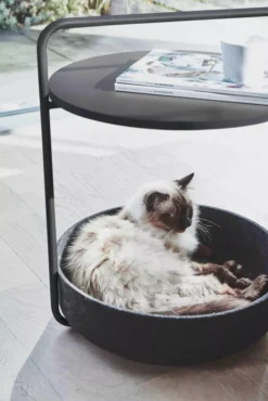 MiaCara Tavolino Kattenmand Bijzettafel Ø50 Black -Beste Meubelcollectie Winkel x886x886 miacara tavolino kattenmand bijzettafel9.jpg.pagespeed.ic .VFH6acAH4d