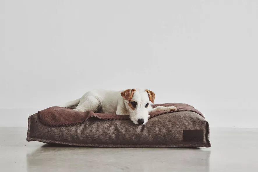 MiaCara Divo Hondenkussen Small Mocca 7 MiaCara Divo Hondenkussen Small Mocca - Afbeelding 7