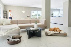 MiaCara Velluto Hondenkussen Large Sage -Beste Meubelcollectie Winkel x886x886 miacara velluto hondenkussen large9.jpg.pagespeed.ic .E2vZno4X n