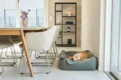 MiaCara Velluto Hondenmand Large Greige 17 MiaCara Velluto Hondenmand Large Greige -Beste Meubelcollectie Winkel x886x886 miacara velluto hondenmand large4.jpg.pagespeed.ic .Pq2F6wHs28 1