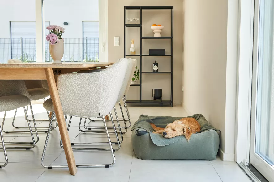 MiaCara Velluto Hondenmand Small Nude 7 MiaCara Velluto Hondenmand Small Nude - Afbeelding 7