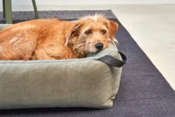 MiaCara Velluto Hondenmand Large Greige 20 MiaCara Velluto Hondenmand Large Greige -Beste Meubelcollectie Winkel x886x886 miacara velluto hondenmand large6.jpg.pagespeed.ic .aXN3H 21OY 1