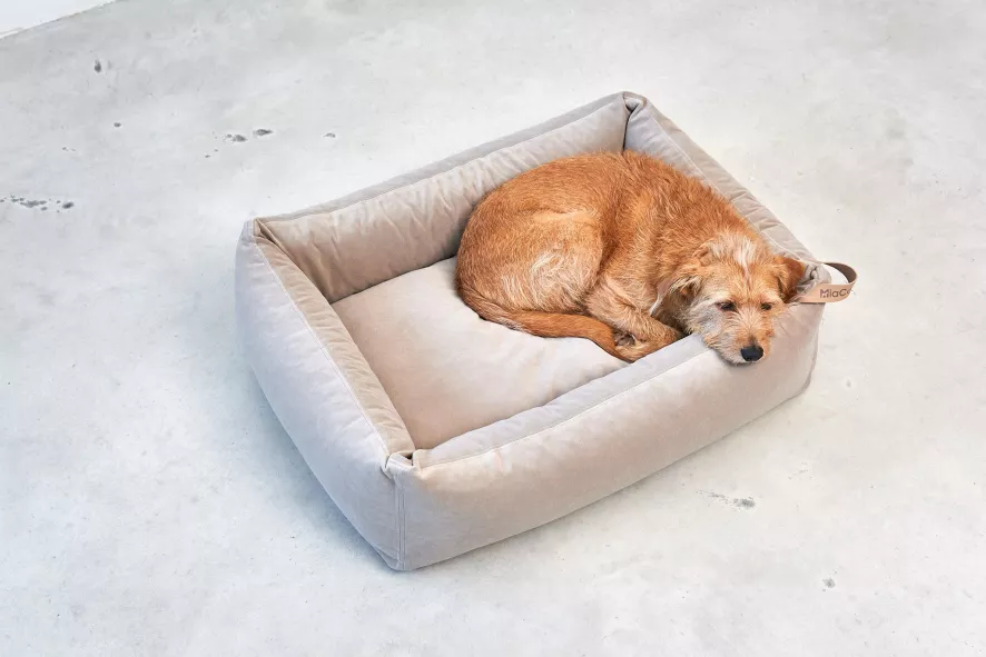 MiaCara Velluto Hondenmand Small Nude 5 MiaCara Velluto Hondenmand Small Nude - Afbeelding 5