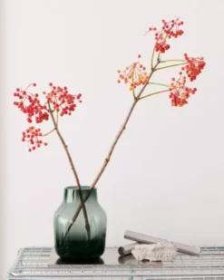 Muuto Silent Vaas 15 Clear -Beste Meubelcollectie Winkel x886x886 muuto silent vaas 157.jpg.pagespeed.ic .7pbhf41Ex4