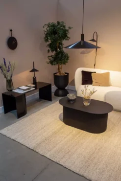 Nuuck Thore Vloerkleed 200x300 Beige 31 Nuuck Thore Vloerkleed 200x300 Beige -Beste Meubelcollectie Winkel x886x886 nuuck thore vloerkleed 170x24016.jpg.pagespeed.ic .psAN29lGbm