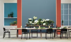 Pedrali Dome Tuinstoel Zwart -Beste Meubelcollectie Winkel x886x886 pedrali dome tuinstoel5.jpg.pagespeed.ic .mbH9sRWKLZ