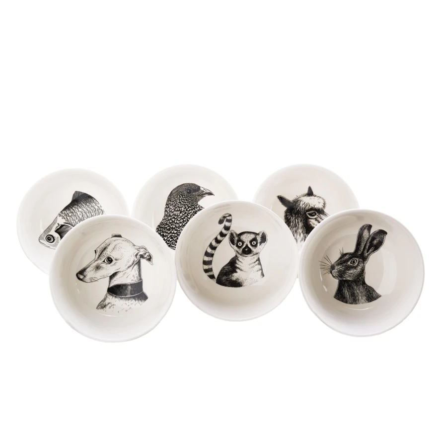 POLSPOTTEN Animals Snack Schaal Ø15 Set Van 6 4 POLSPOTTEN Animals Snack Schaal Ø15 Set Van 6 - Afbeelding 4