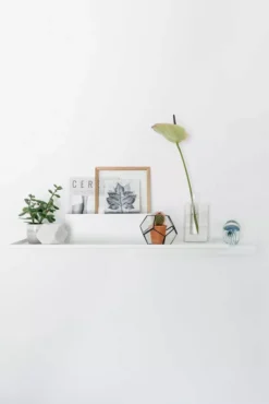 Puik Duplex Wandplank Donkergroen 11 Puik Duplex Wandplank Donkergroen -Beste Meubelcollectie Winkel x886x886 puik duplex wandplank12.jpg.pagespeed.ic .HNar4DnkG