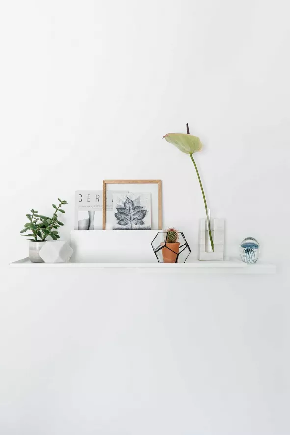 Puik Duplex Wandplank Donkergroen 4 Puik Duplex Wandplank Donkergroen - Afbeelding 4